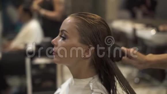 美容师在美容室的发型前给美女刷湿头发发型师梳女头发视频的预览图