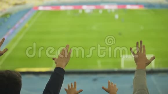 男男女球迷在体育场握手为足球队的胜利欢呼视频的预览图