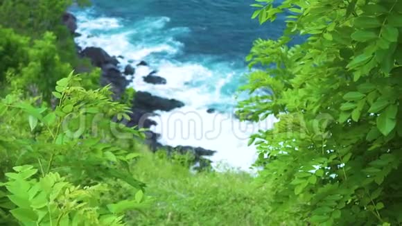 生长在蓝色海浪中的植物背景是岩石悬崖汹涌的海浪以泡沫溅到石堆上视频的预览图