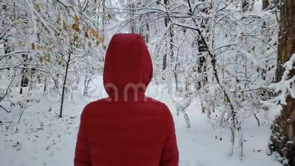 在白雪覆盖的森林里散步的人享受冬天的自然美景视频的预览图