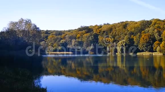 全景的一个大的美丽的秋天景观与湖泊和树木视频的预览图