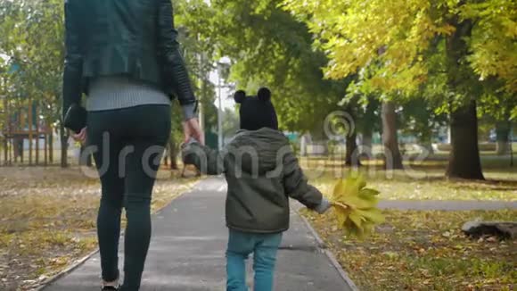 年轻的母亲和一个小儿子在秋天公园散步秋天公园的幸福家庭自然概念中的幸福家庭4K视频的预览图