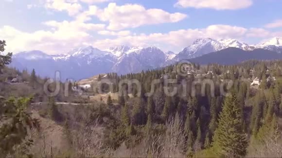 飞过去靠近云杉美丽的维利卡平原充满云杉小房子和山脉在后面视频的预览图