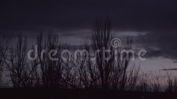 暮色和飞舞的云彩在树的轮廓后面视频的预览图