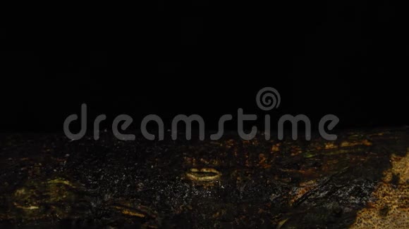 花园蜗牛在夜间时间流逝视频的预览图