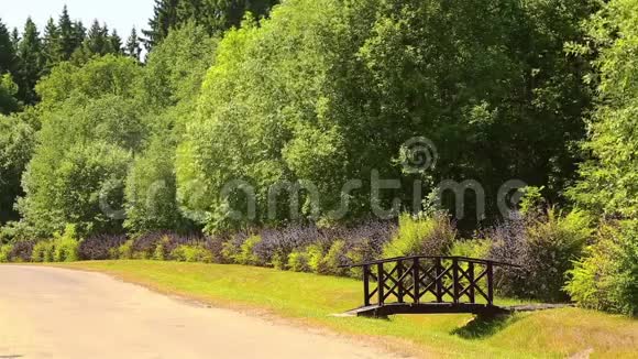美丽的公园景观有一座木制桥HD1920x1080视频的预览图