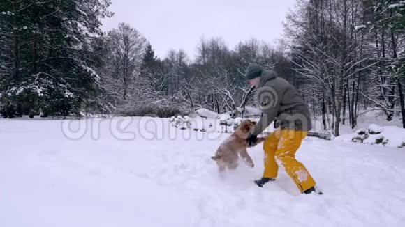 男人和他的狗红发公鸡猎犬视频的预览图