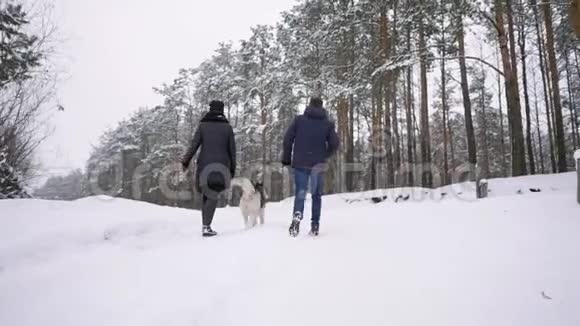 爱的男人和女人在冬天的森林里带着西伯利亚哈士奇走着微笑着看着对方视频的预览图