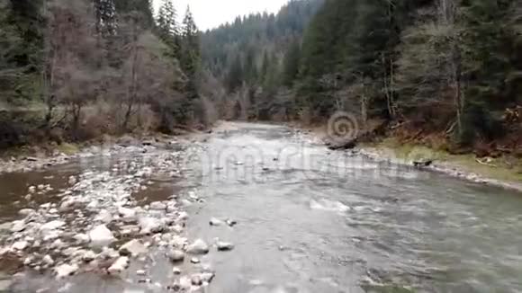 无人机沿着森林中一条山河的流水拍摄视频的预览图