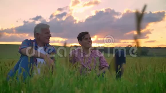 老父亲和成年儿子坐在小麦或黑麦地在日落时放松美丽的自然景观视频的预览图