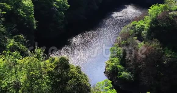 伊巴拉基绿色山谷的河流白天阳光明媚视频的预览图