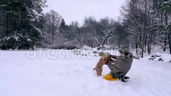 男人和他的狗红发公鸡猎犬视频的预览图