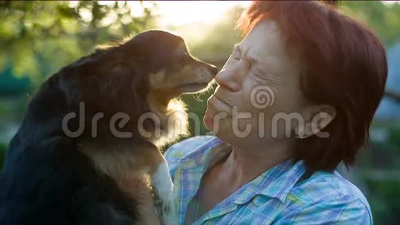 狗在亲吻情妇视频的预览图