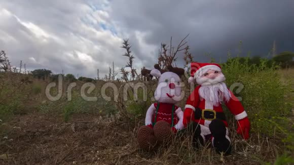 圣诞老人木偶和驯鹿在天空中乌云密布的草地上的时间流逝视频的预览图