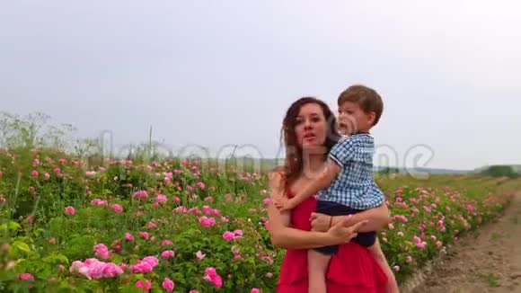 妈妈和小儿子一起在玫瑰园开花视频的预览图