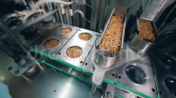 在一家食品厂里一些面包小吃正在准备包装视频的预览图