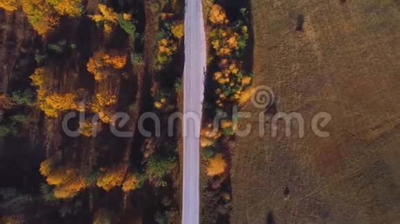 秋季山地高空观景路视频的预览图