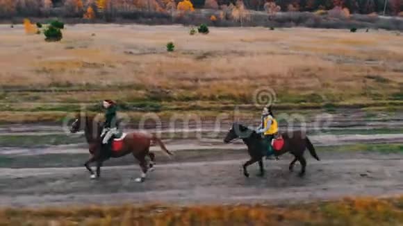 两匹背着马的湾马在秋天的田野上飞驰视频的预览图