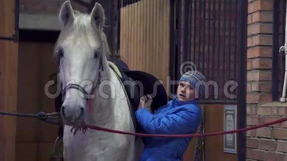 年轻漂亮的女人穿着夹克和运动帽正在准备一匹白马骑马视频的预览图
