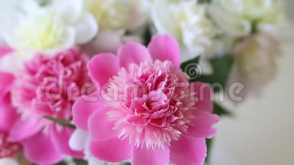 室内简易玻璃罐内的新鲜大珊瑚粉红色白色和奶油牡丹花束美丽的花瓶视频的预览图