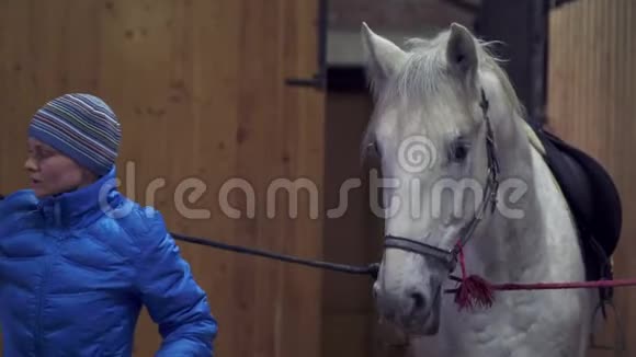 年轻漂亮的女人穿着夹克和运动帽正在准备一匹白马骑马视频的预览图