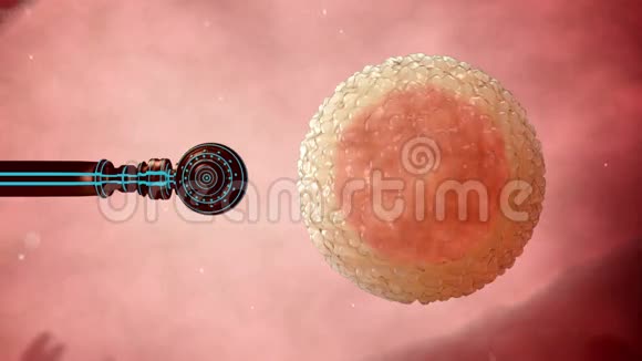 纳米机器人使细胞卵受精人工授精医学概念未来视频的预览图