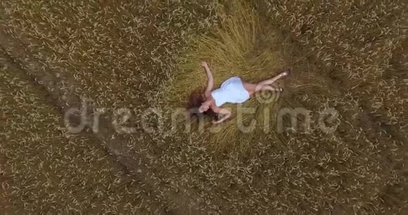 顶景可爱的黑发女孩美丽的长发白色的短裙躺在金色的麦田里视频的预览图