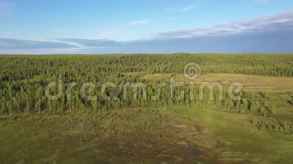 上午飞越西伯利亚北部的沼泽和泰加视频的预览图