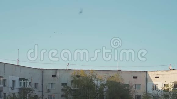 燕子飞过大房子视频的预览图