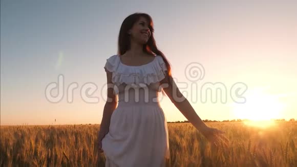 穿着白色衣服的漂亮女孩正带着小麦在田野里散步在夕阳的照耀下女孩的手触及成熟小麦的耳朵视频的预览图