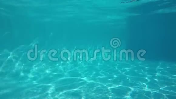 白人女孩一个接一个地潜入游泳池从水下看视频的预览图