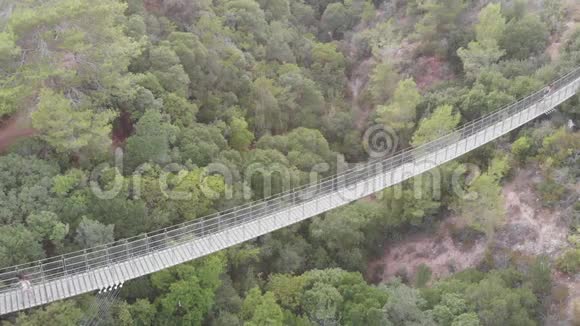 一个狭窄的行人悬挂70米桥背景下密集的植被在瓦迪视频的预览图