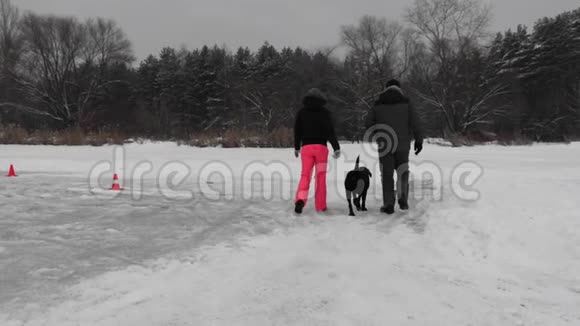 下雪时夫妇俩带着狗在森林附近的冰冻湖面上散步后视图视频的预览图