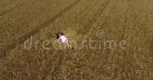 顶景可爱的黑发女孩美丽的长发白色的短裙躺在金色的麦田里视频的预览图