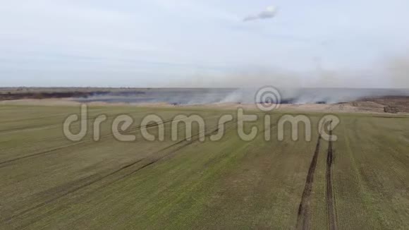 直接飞过燃烧的田野火与烟黑炭之地紧急情况视频的预览图