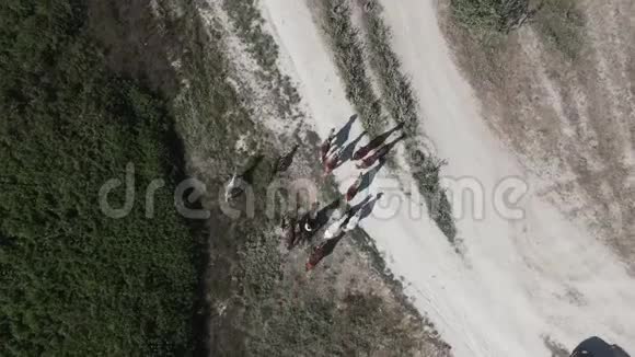一个骑着马的牛仔牧羊人带领一群马到一个摊子他们穿过一条尘土飞扬的山路克里米亚白岩8月视频的预览图