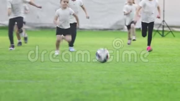 室内足球场孩子们积极踢足球在球后面跑视频的预览图