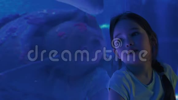 可爱的女孩在大型水族馆里看鱼视频的预览图