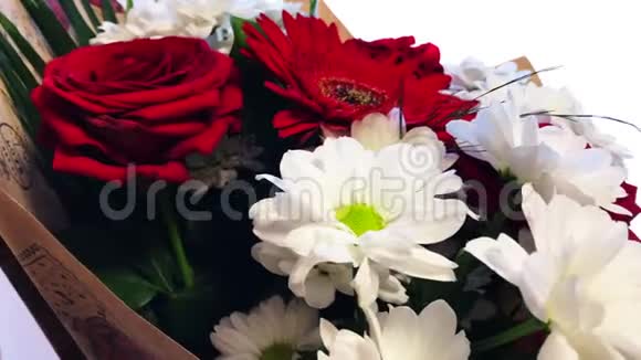 鲜花与红玫瑰雏菊和格伯拉斯视频的预览图