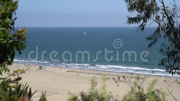 透过树木看到海岸圣莫尼卡海滩人们洗澡帆船在波浪上航行温暖的夏天视频的预览图