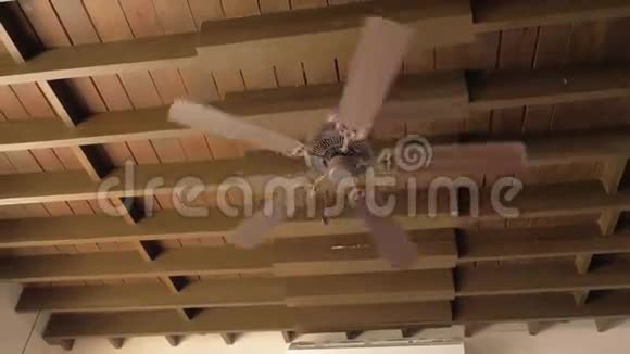 天花板风扇在有稻草屋顶的咖啡馆里旋转视频的预览图