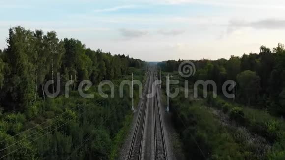 不错的电影空中镜头飞越双向铁路在森林与许多树木视频的预览图