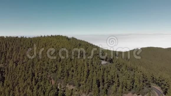 空中射击一个梦幻的景观有大量的绿色松树和杉树雾中的多雨森林和低矮的堆视频的预览图