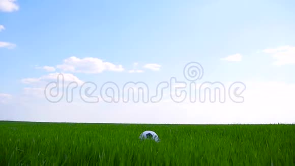 一个孩子踢足球在草地上慢跑视频的预览图