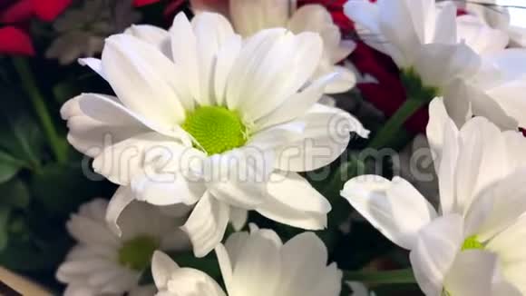 鲜花与红玫瑰雏菊和格伯拉斯视频的预览图