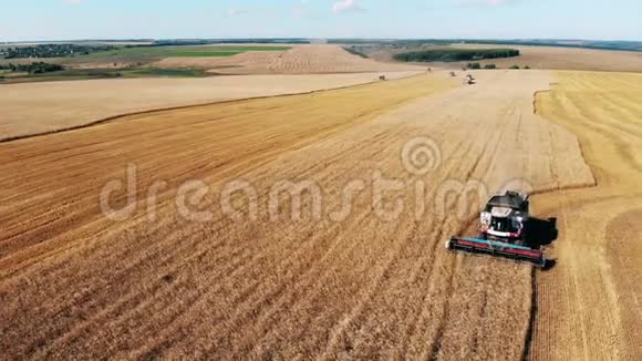 工业联合公司正沿着田野骑马收集小麦视频的预览图
