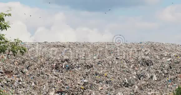 垃圾填埋场上巨大的垃圾山鸟类飞过它的回收问题视频的预览图