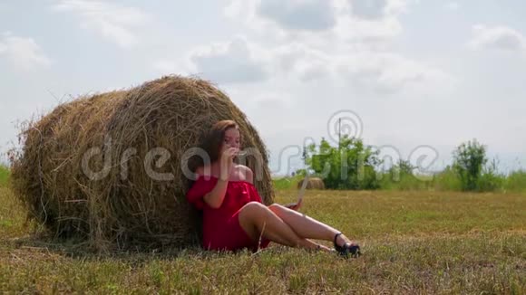 可爱的年轻女商人身穿红色连衣裙戴着眼镜坐在干草堆附近的干草上在笔记本电脑上工作视频的预览图