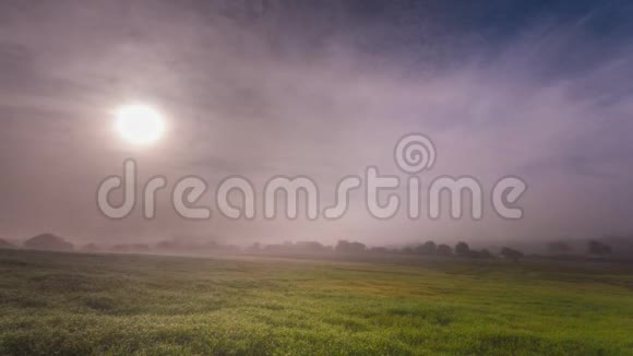 黎明时分一片浓雾弥漫的农田的时间流逝视频的预览图