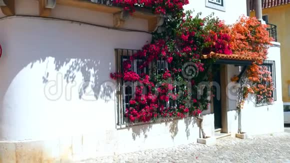 葡萄牙卡斯凯斯五颜六色的布坎比利亚藤蔓覆盖着房子的正面视频的预览图